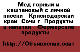 Мед горный и каштановый с личной пасеки - Краснодарский край, Сочи г. Продукты и напитки » Фермерские продукты   